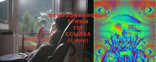 прущие крисы Алексин