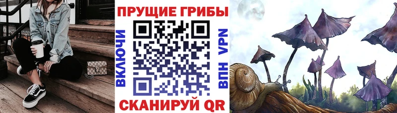 магазин OMG ССЫЛКА Псилоцибиновые грибы Psilocybine cubensis Кулебаки